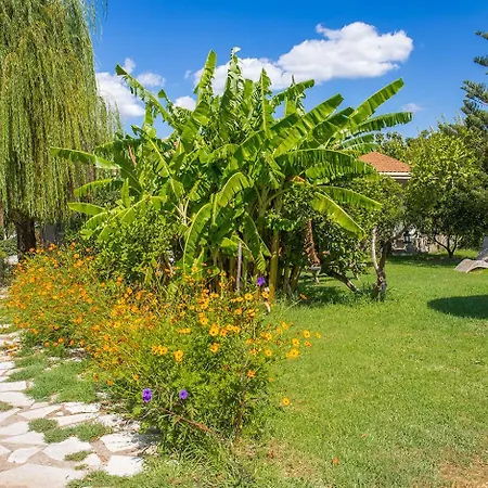 Stavlos 瓦西利基