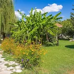 Stavlos Vasiliki