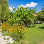 Stavlos Vasiliki
