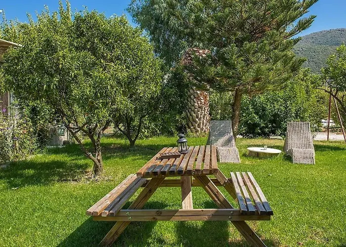 Stavlos Daire *