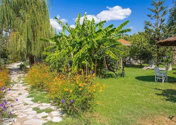 Stavlos Vasiliki